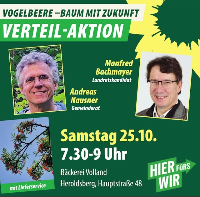 Vogelbeere – Baum mit Zukunft